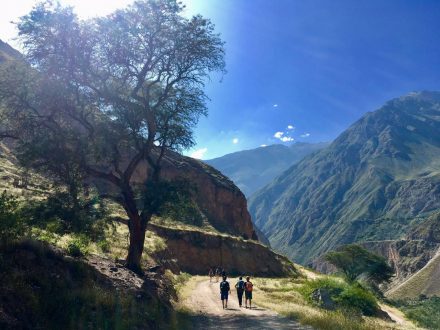 Colca Canyon Hike Green Peru Adventures