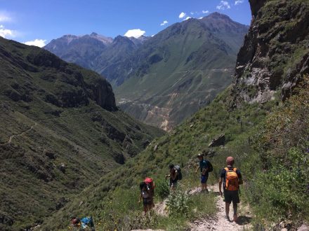 Colca Canyon Hike Level 1 Green Peru Adventures