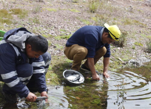 fishing tour