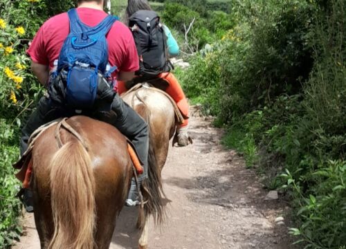 Peronilloq horseback riding