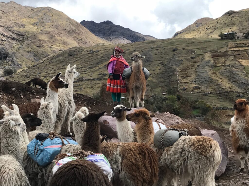 Hidden Gems Along the Inca Jungle Trek You Won’t Find in Guides