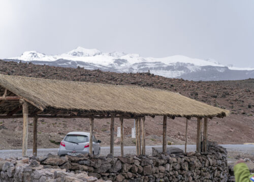 Colca Canyon Tour from Puno to Arequipa 2 Days/ 1 Night